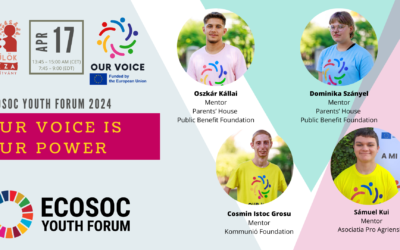 Our Voice is Our Power @ ECOSOC Youth Forum 2024